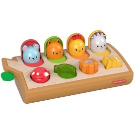 Fisher-Price - Hide & Peek Pop-Up GJW24