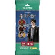 Harry Potter - Evolution Stor Pakke PAN2536