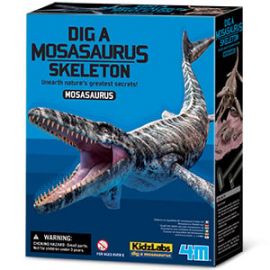 Udgrav et Mosasaurus-skelet - 4M-03457