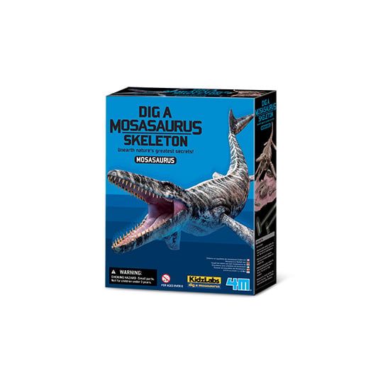 Udgrav et Mosasaurus-skelet - 4M-03457