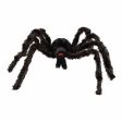 DGA - Halloween decoration accessory - Spider 11005011