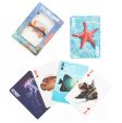 Fish 3D Cards