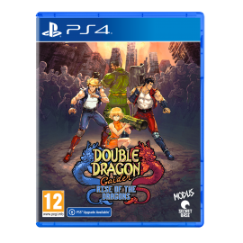 Double Dragon Gaiden Rise of the Dragons