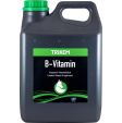 TRIKEM - B-Vitamin 1L - 822.7290