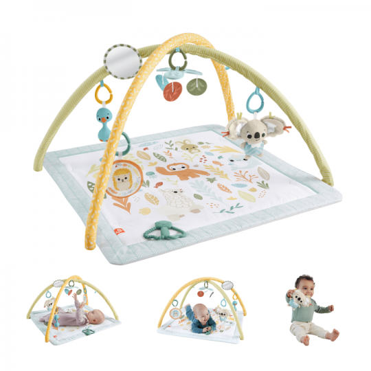 Fisher Price Newborn – Simply Senses newborn Gym HRB15