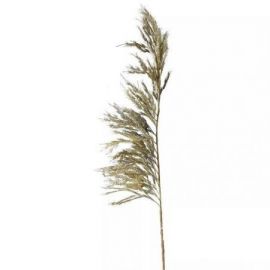 PAMPAS KUNSTIG PLANTE 118×25CM