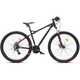 MOUNTAINBIKE 2924 29" 24-G