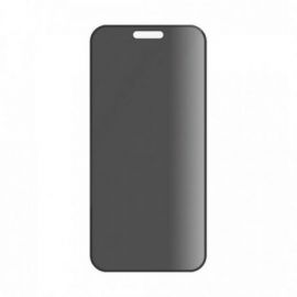 PANZER IPHONE 16 PLUS PRIVACY